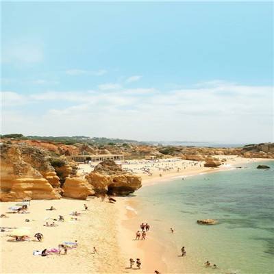 买球的app排行榜前十名推荐下载手机版截图