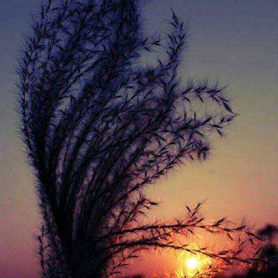 九游会AG下载手机版